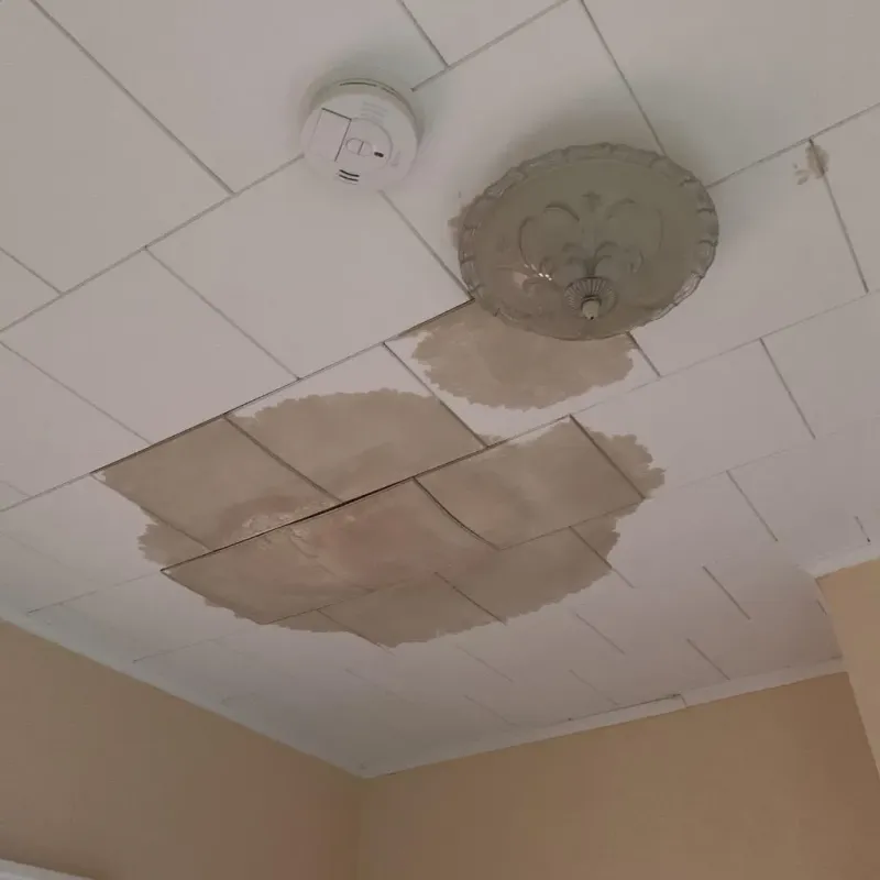Ceiling Water Damage Repair in Plympton, MA