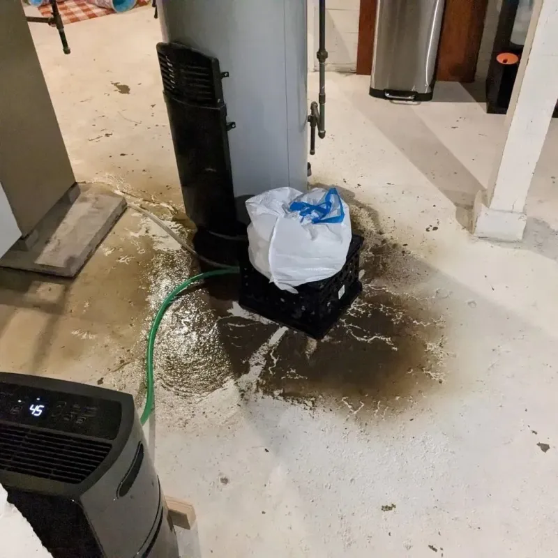 Sewage Backup Cleanup Service in Plympton, MA